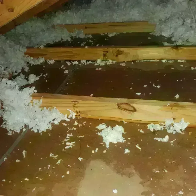 Attic Water Damage in Luling, TX